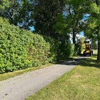 Bild 12 von 21