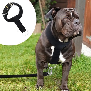 collars for large dogs that pull