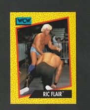 1991 Impel WCW Ric Flair #38