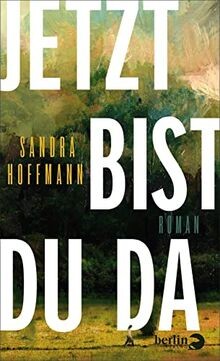 Jetzt bist du da: Roman | Ein Roman über Sehnsuch... | Buch | Zustand akzeptabel