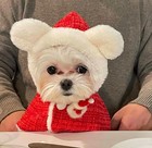 Holiday Xmas Winter Warm Cape Hoodie For Pets Dogs Cats