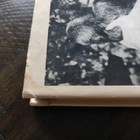 Bild 6 von 10