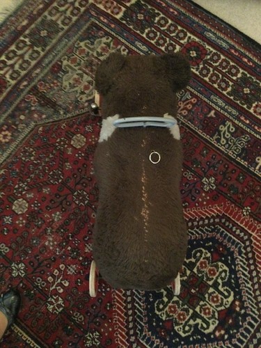SAMMLERSTÜCK! Großer STEIFF BÄR auf Rädern mit funktionierender Brummstimme - Bild 12 von 12