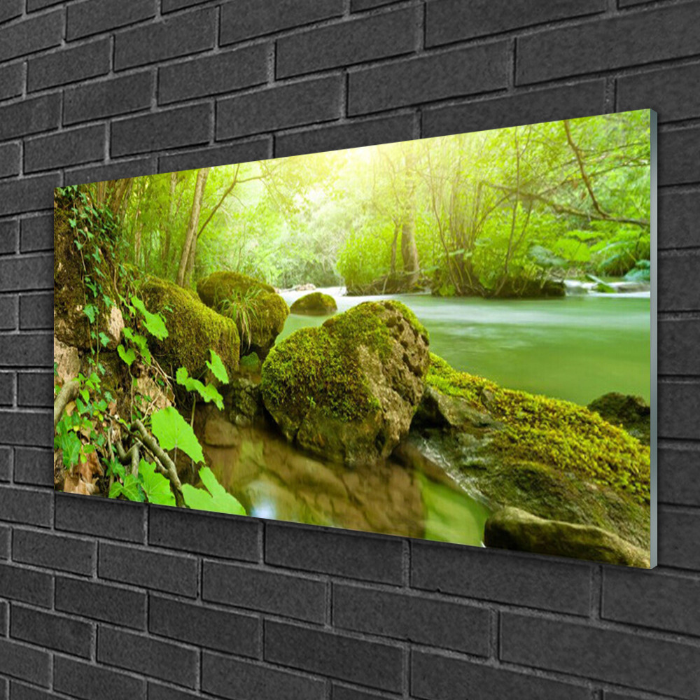 Impression sur verre Tulup 100x50 cm tableau pierres lac décoration murale moderne