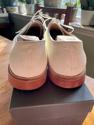 Alden White Buck