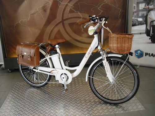 BICICLETTA ELETTRICA E-BIKE WORLD DIMENSION CRYSTAL RETRO' BIANCA 37 V 13  AH Li | eBay