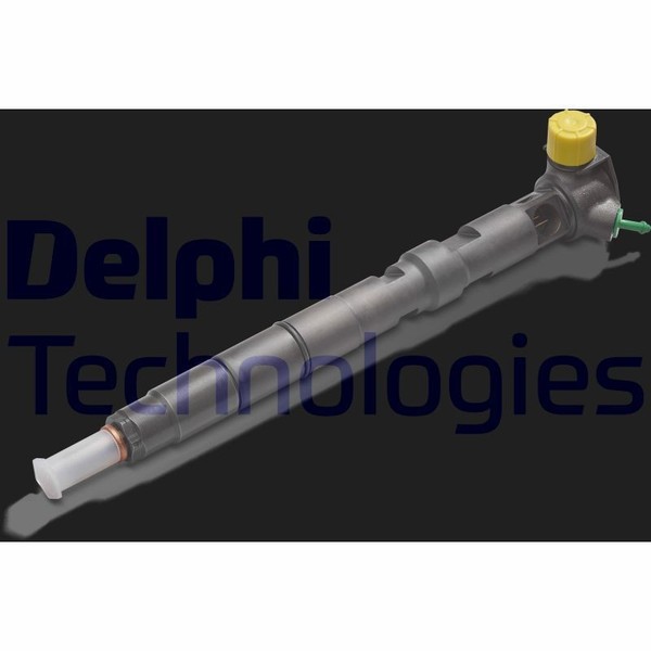 Delphi R05501D Einspritzventil-image