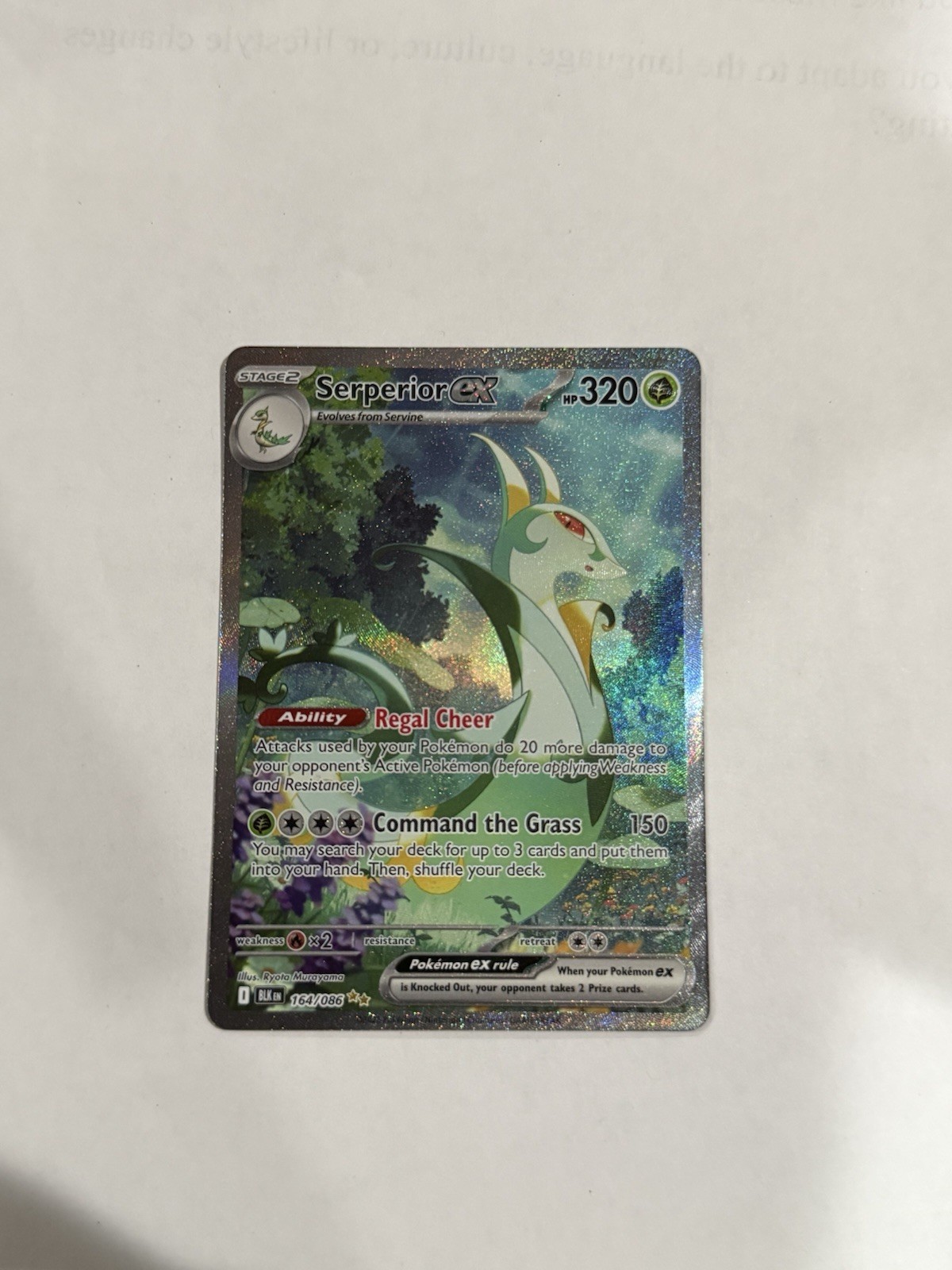 Serperior ex 164/086 - Black Bolt Pokemon Special Illustration Rare English NM