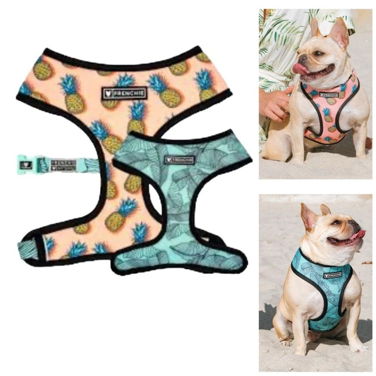Frenchie duo sales reversible harness