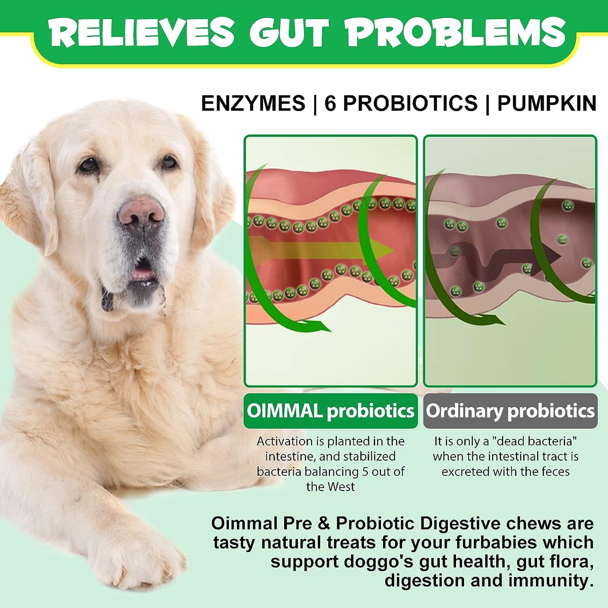 Image result for Green Lawn , Soft Chewable Dog Probiotic For Dogs Digestive Enzymes ...