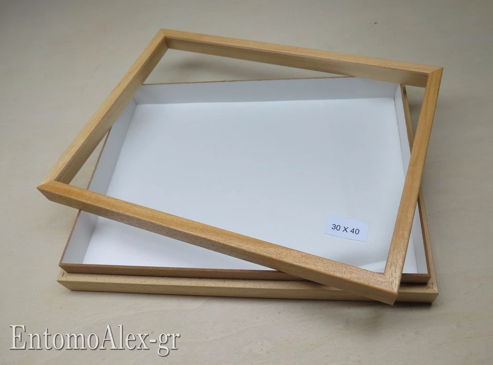 scatola entomologica legno CHIARA 30X40 plastazote entomologia cassetta insetti - Immagine 2 di 4