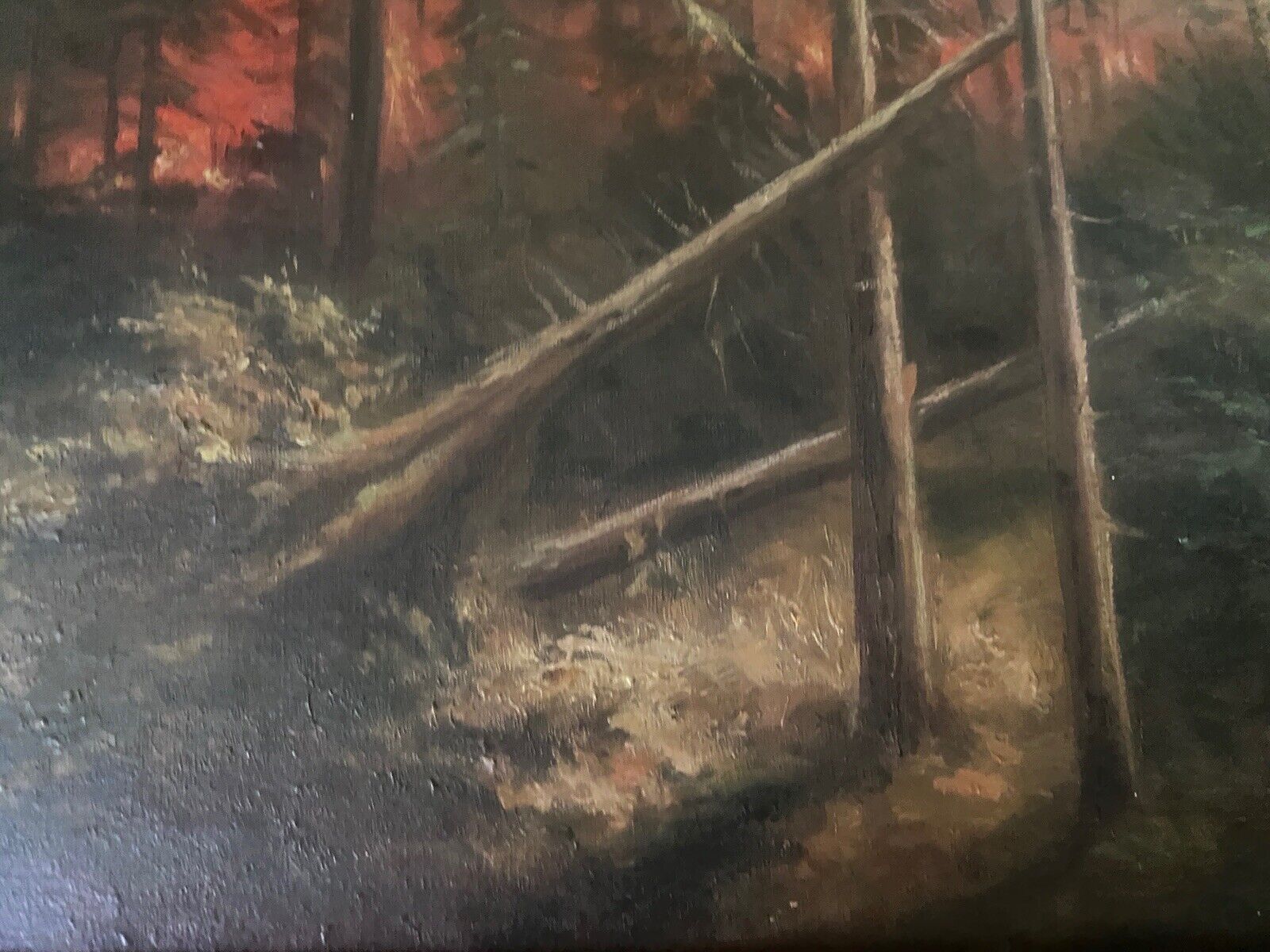 Bild 6 von 10