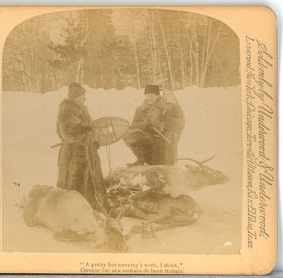 Hunting, A Pretty Fair Mornings Work, I Think--Underwood Stereoview A85