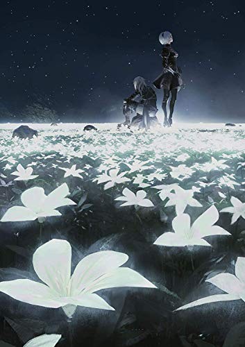 NieR Orchestra Concert 12018 Blu-ray