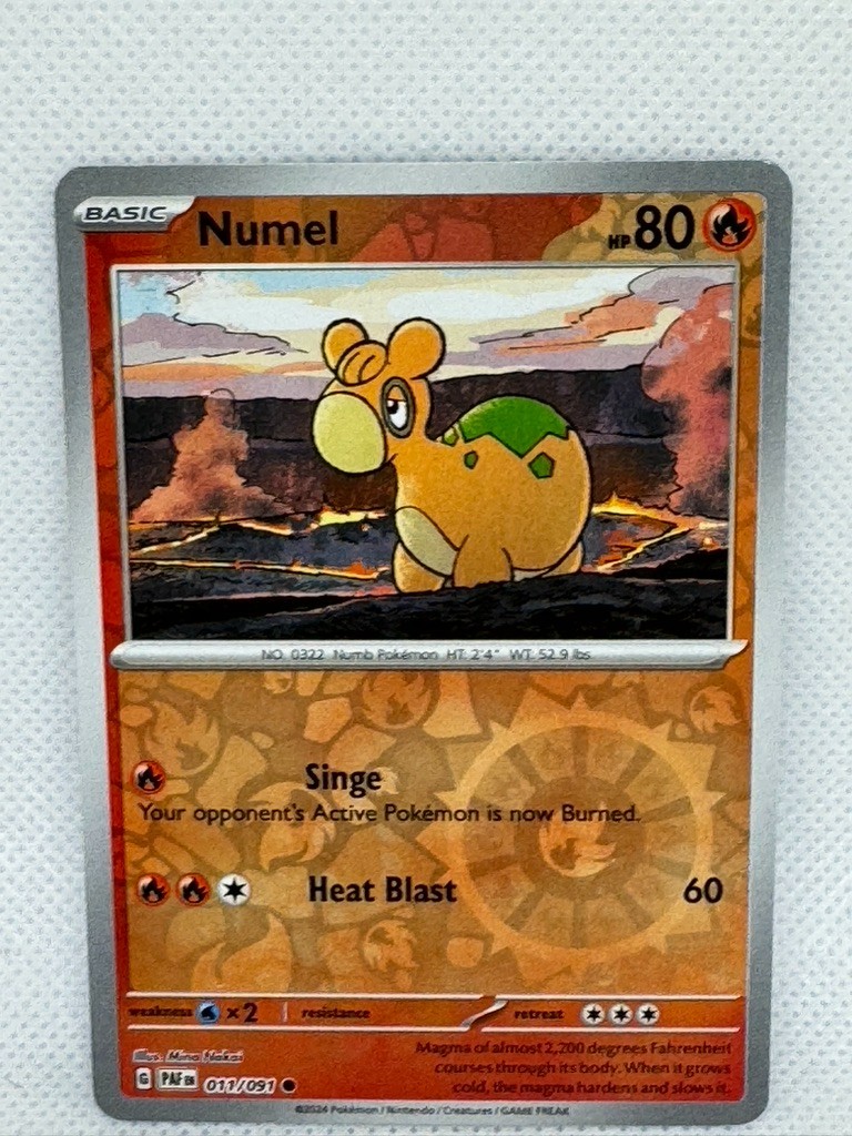 Pokemon TCG - Reverse Holo Numel 11/91 - Paldean Fates 2024