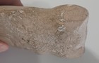 Picture 6 of 8