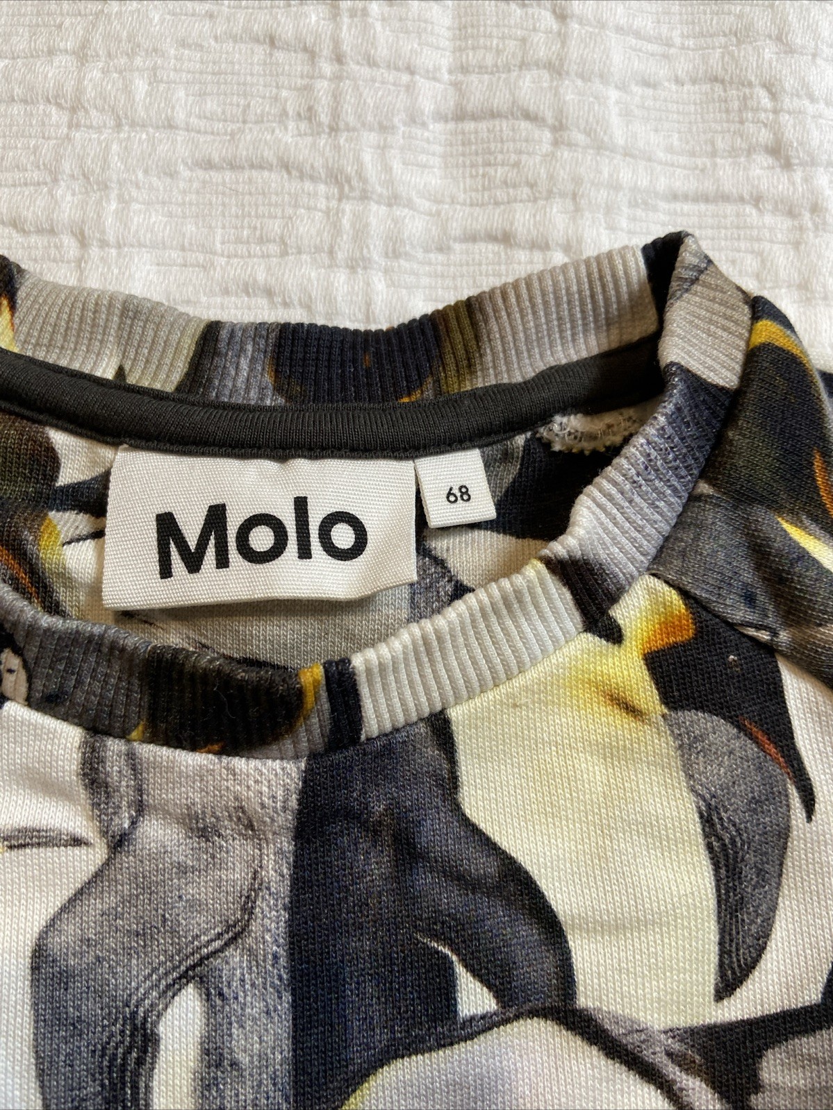 Molo Kids Penguin Sweatset Size 68 - 6 Months EUC