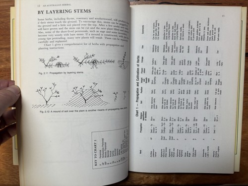 An Australian Herbal By Penny Woodward Practical Guide Growing Using Herbs HCDJ - Picture 3 of 6