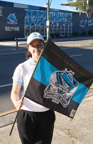 NRL CRONULLA SHARKS FLAG on STICK Centenary Large 90cm x 60cm - NEW! - 第 1/6 張圖片