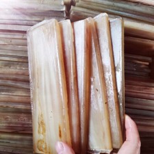 Corna di pecora naturale corna sanguinanti coltello bianco bianco squame manico materiale