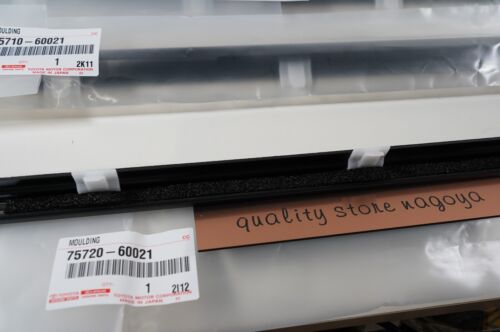 OEM Toyota Land Cruiser Lexus LX450 96-98 Front Rear Door Belt Moulding Genuine - Picture 3 of 5