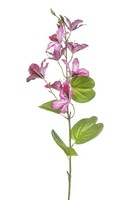 Artplants KüNstlicher Zweig Bauhinia Dowler, Rosa, 85Cm