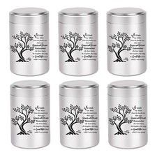 Set of 6 Mini Keepsake Urns for Human Ashes 3 Inch Memorial Containers