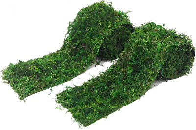 2 Pcs Moss Roll Moss Table Runner Dried Moss Mat for Crafts 4'' X 39'' Green Moss