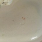 Bild 12 von 12