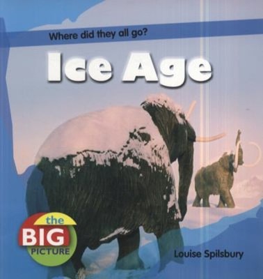 Ice Age Paperback Louise Spilsbury
