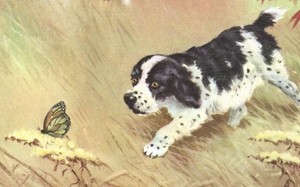 English Springer Spaniel - CUSTOM MATTED - Vintage Dog Art Print - 1970 Dennis