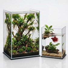 Tall Rimless Nano Aquarium Set 3 Gallon 5 Gallon - Glass Combo for Small ...