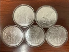 United States  American Eagle 2024 1 oz Sil*v*er Coin Lot of 5 FREE DELIVERY