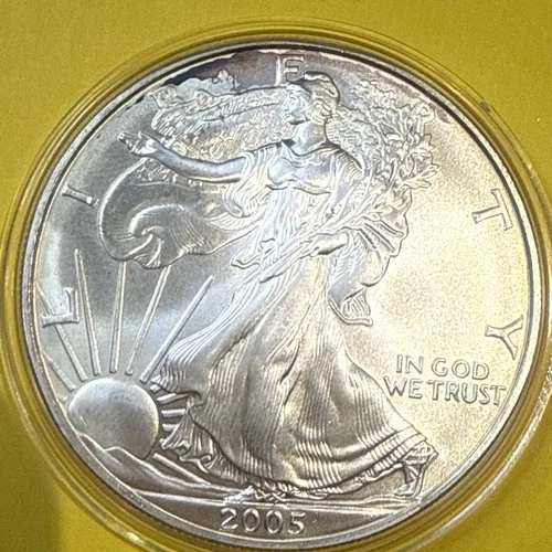 1 oz 2005 ASE American Silver Eagle .999 Fine Silver & Capsule