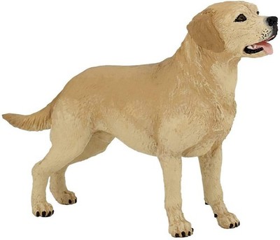 Papo - Realistic Labrador Retriever Figure Toy for Kids oner size, Multicolor