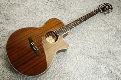Ibanez aeg12iint outlet