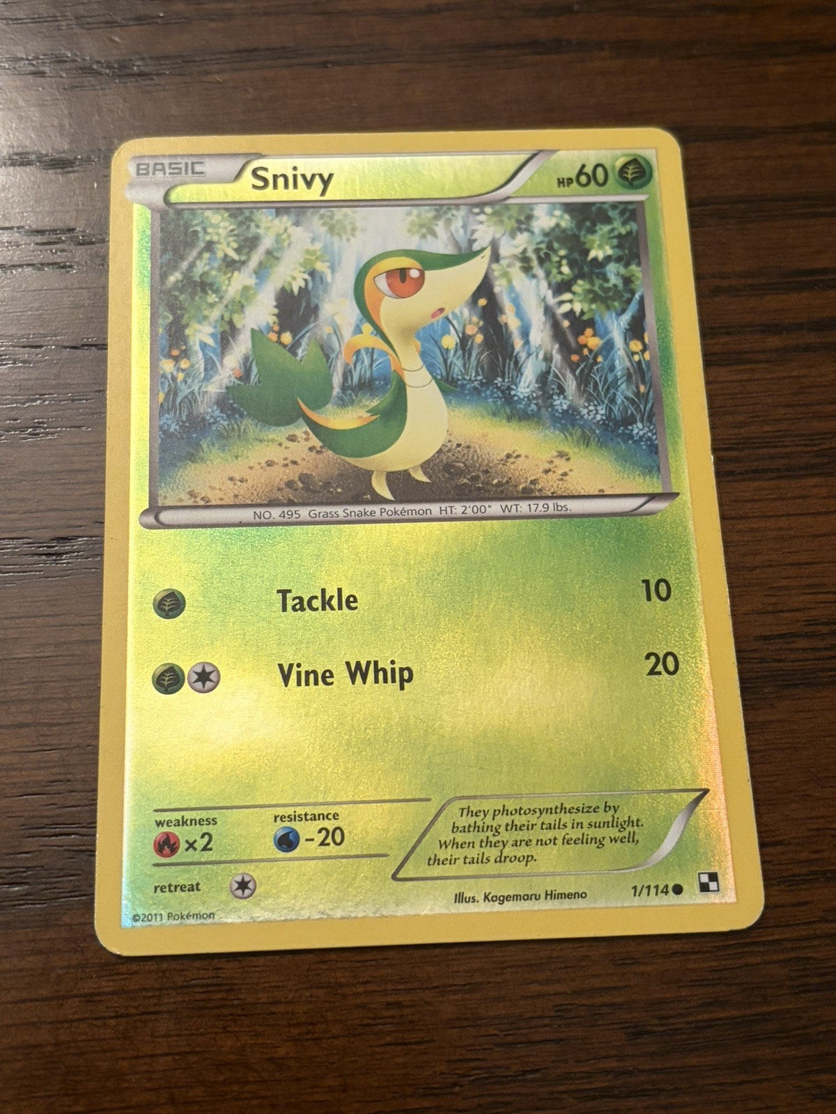 Pokemon TCG Snivy (1) 1/114 Black and White Common Reverse Holo LP