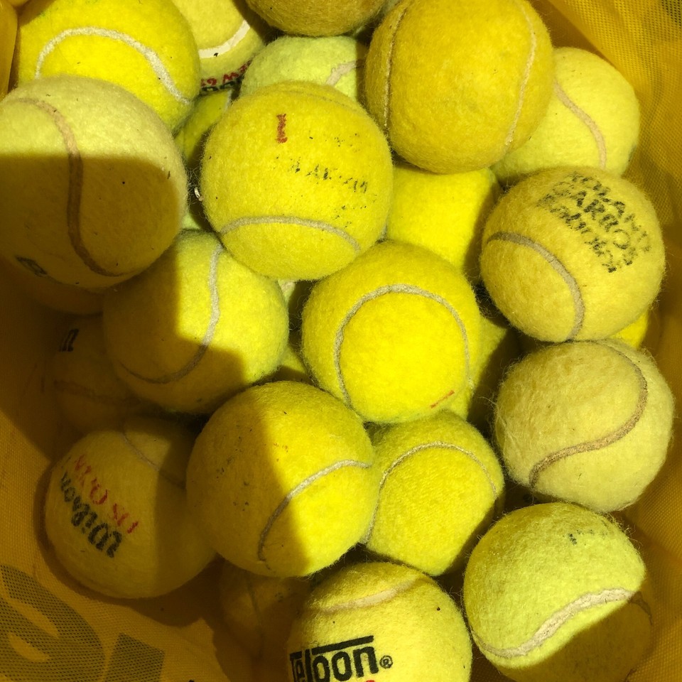 100 x USED TENNIS BALLS FOR KIDS DOGS BACKYARD GAMES MIXED Wilson Head