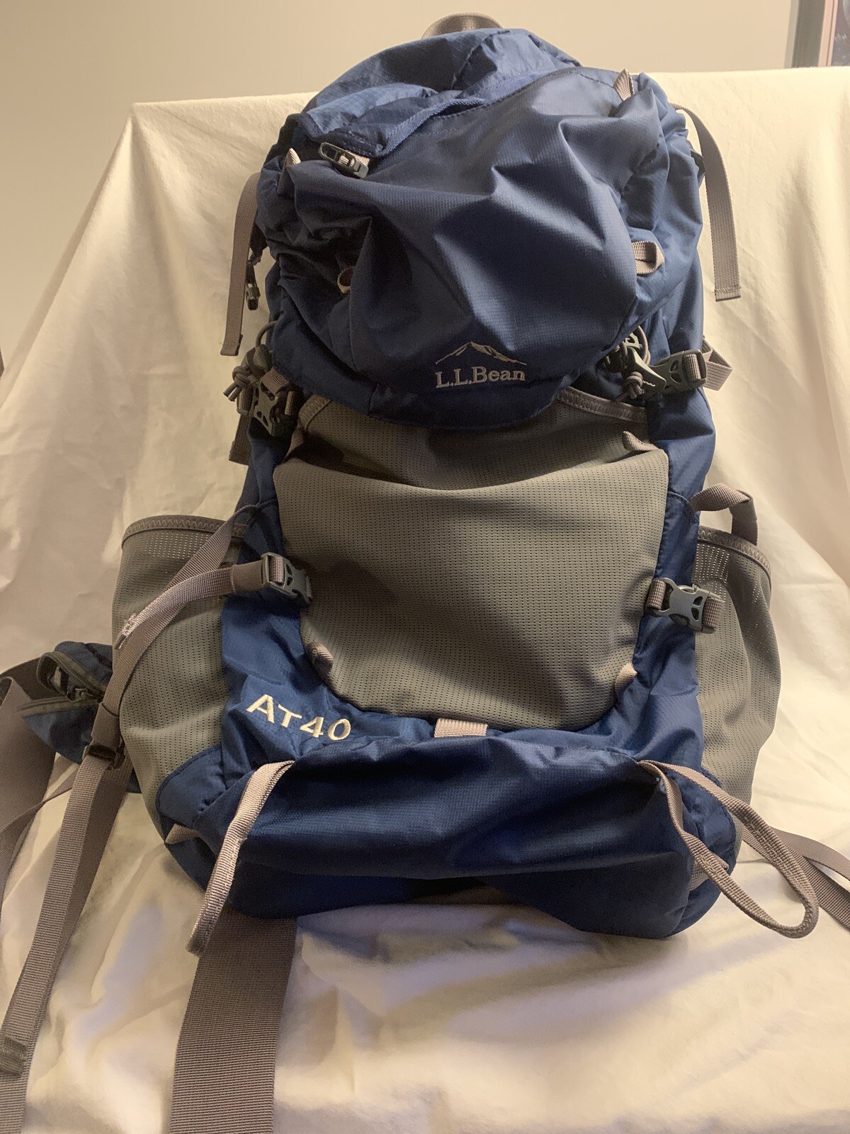 ll bean hiking backpack carrier