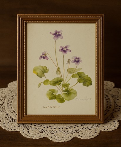 Framed Botanical Print – Native Violet (Viola hederacea) by June A. Kelly (2000) - Foto 3 di 12