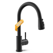 Black Kitchen Faucet with Pull Down Sprayer
