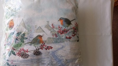 Rotkehlchen im Schnee Leuchtkissen