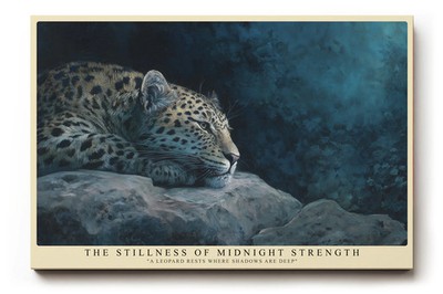 Paul Sinus Wandbild The Stillness of Midnight Strength majestätisches
