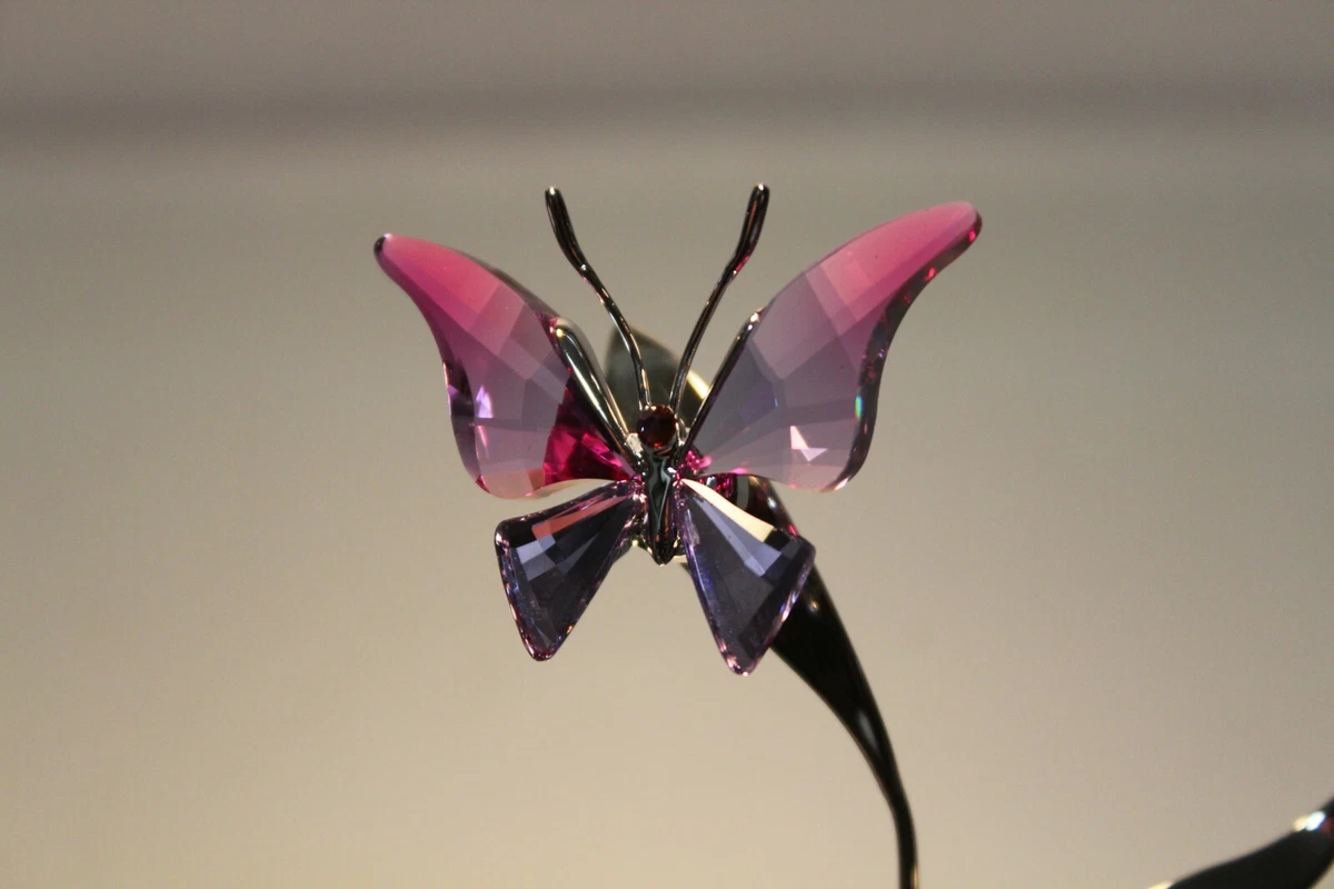 SWAROVSKI CRYSTAL PARADISE BUTTERFLY AMARA FUCHSIA RAIN # 861937 MINT IN BOX