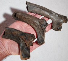 Bison Rib Bone Fossils from Ice Age