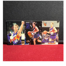 Upper Deck/SkyBox/Fleer Ultra Danny Ainge Suns 3-Card Lot 1994-95 #205