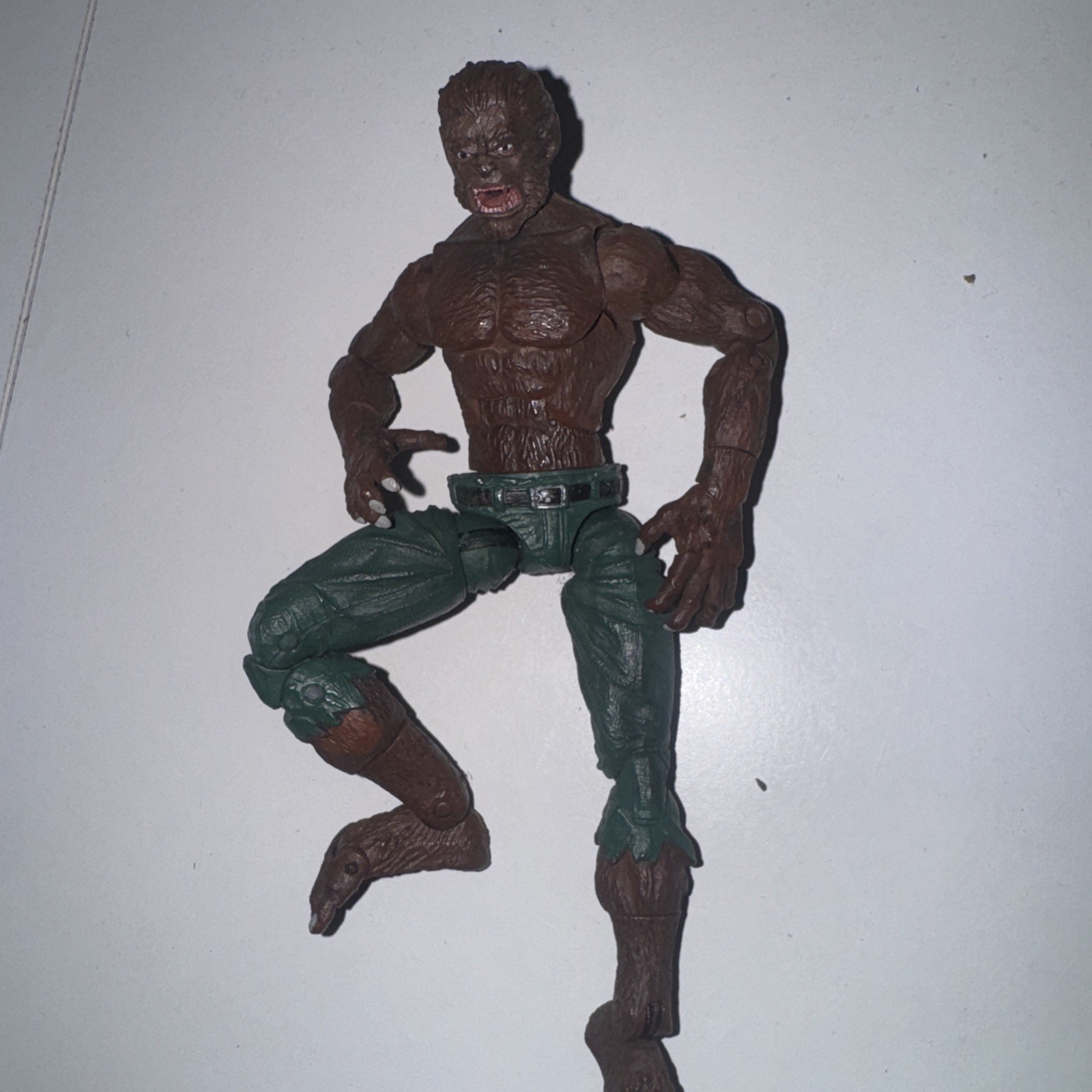 Picture 5 of 5