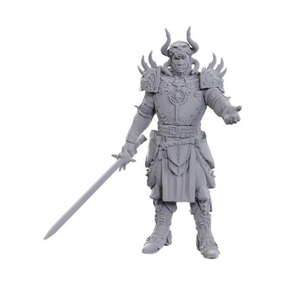 WizKids D&D Nolzur's Marvelous Miniatures: Special Edition Baldur's Gate 3 (Sare