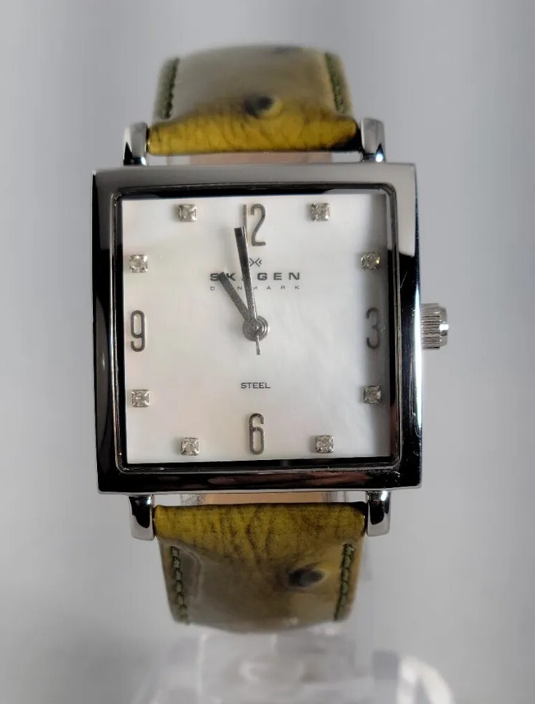 SKAGEN DENMARK STEEL Women display picture 1