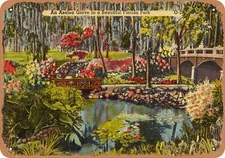 METAL SIGN - Florida Postcard - An Azalea grove in a beautiful Florida park